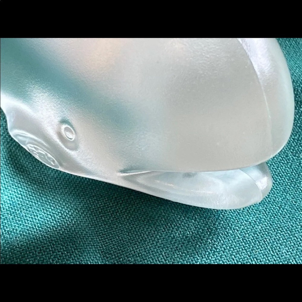 Glass whales - Picture 12 of 12